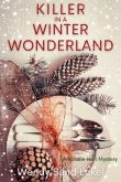 Killer in a Winter Wonderland (eBook, ePUB)