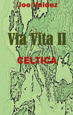 Via Vita II (eBook, ePUB) - Valdez, Joe