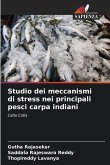 Studio dei meccanismi di stress nei principali pesci carpa indiani