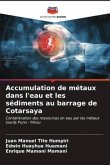 Accumulation de métaux dans l'eau et les sédiments au barrage de Cotarsaya