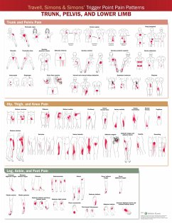 Cover Travell, Simons & Simons' Trigger Point Pain Patterns Wall Chart