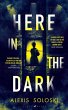 Here in the Dark (eBook, PDF) - Bild 1