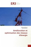 Amélioration et optimisation des réseaux d'énergie