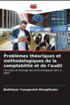 Problèmes théoriques et méthodologiques de la comptabilité et de l'audit - Menglikulov, Bakhtiyor Yusupovich