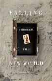 Falling Through the New World Falling Through the New World