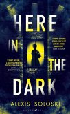 Here in the Dark (eBook, ePUB)