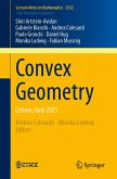 Convex Geometry (eBook, PDF)