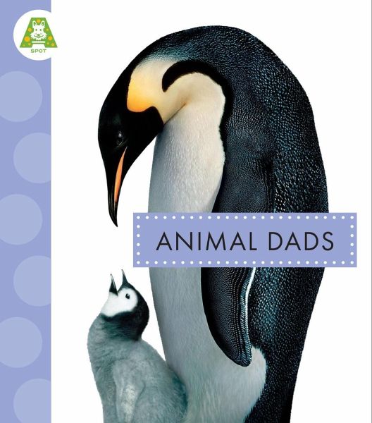Animal Dads Animal Dads