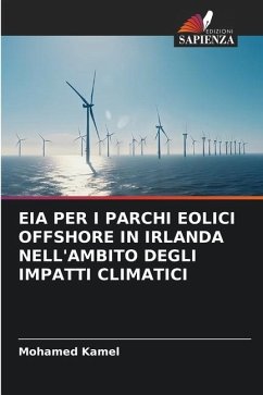 EIA PER I PARCHI EOLICI OFFSHORE IN IRLANDA NELL'AMBITO DEGLI IMPATTI CLIMATICI - Kamel, Mohamed