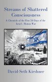 Streams of Shattered Consciousness (eBook, ePUB)