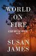 World on Fire (Cady and Blue Mystery,... - Bild 1