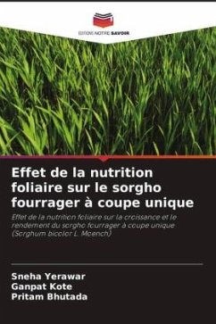 Effet de la nutrition foliaire sur le sorgho fourrager à coupe unique - Yerawar, Sneha;Kote, Ganpat;Bhutada, Pritam