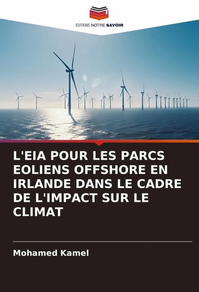 L'EIA POUR LES PARCS EOLIENS OFFSHORE EN IRLANDE DANS LE CADRE DE L'IMPACT SUR LE CLIMAT L'EIA POUR LES PARCS EOLIENS OFFSHORE EN IRLANDE DANS LE CADRE DE L'IMPACT SUR LE CLIMAT