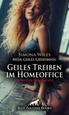 Mein geiles Geheimnis: Geiles Treiben im Homeoffice   Erotische Geschichte + 1 weitere Geschichte