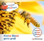 Vorlesen mit Eberhart - Kleine Biene ganz groß - Nachbezug Einzelheft