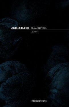 Blaudunkel - Blech, Juliane