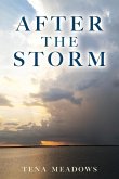 After The Storm After The Storm