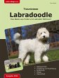 Traumrasse: Labradoodle - Bild 1