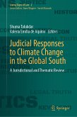 Judicial Responses to Climate Change in the Global South (eBook, PDF)