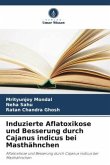 Induzierte Aflatoxikose und Besserung durch Cajanus indicus bei Masthähnchen