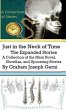 Just in the Neck of Time(TM) (eBook,... - Bild 1