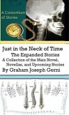 Just in the Neck of Time(TM) (eBook, ePUB)