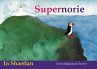 Supernorie (eBook, ePUB) - Bild 1