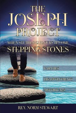 The Joseph Project (eBook, ePUB) - Stewart, Rev. Norm