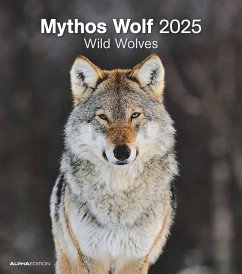 Mythos Wolf 2025 - Foto-Kalender - Wand-Kalender - 30x34