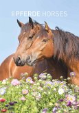 Pferde 2025 - Bildkalender 23,7x34 cm - Kalender mit Platz für Notizen - mit vielen Zusatzinformationen - Horses - Wandkalender - Alpha Edition