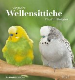 Wellensittiche 2025 - Postkartenkalender 16x17 cm - Budgies - zum Aufstellen oder Aufhängen - Monatskalendarium - Gadget - Mitbringsel - Alpha Edition