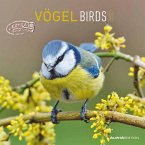 Vögel 2025 - Broschürenkalender 30x30 cm (30x60 geöffnet) - Kalender mit Platz für Notizen - Birds - Bildkalender - Wandkalender - Vogelkalender