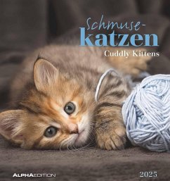 Schmusekatzen 2025 - Postkartenkalender 16x17 cm - Katzen - zum Aufstellen oder Aufhängen - Monatskalendarium - Gadget - Mitbringsel - Alpha Edition