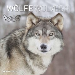 Wölfe 2025 - Broschürenkalender 30x30 cm (30x60 geöffnet) - Kalender mit Platz für Notizen - Wolves - Bildkalender - Wandplaner - Alpha Edition