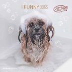 Funny Dogs 2025 - Broschürenkalender 30x30 cm (30x60 geöffnet) - Kalender mit Platz für Notizen - Hunde - Bildkalender - Wandkalender - Hundekalender