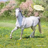 Pferde 2025 - Broschürenkalender 30x30 cm (30x60 geöffnet) - Kalender mit Platz für Notizen - Horses - Bildkalender - Wandplaner - Pferdekalender