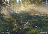 Malerische Wälder 2025 - Wand-Kalender - 42x29,7 - Wald - Natur