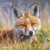 Wald und Flur 2025 - Broschürenkalender 30x30 cm (30x60 geöffnet) - Kalender mit Platz für Notizen - Forest Animals - Bildkalender - Wandkalender