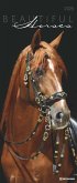 Beautiful Horses 2025 - Foto-Kalender - Wand-Kalender - 30x70