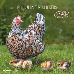 Hühner 2025 - Broschürenkalender 30x30 cm (30x60 geöffnet) - Kalender mit Platz für Notizen - Hühner - Bildkalender - Wandkalender - Hühnerkalender