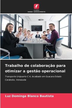 Trabalho de colaboração para otimizar a gestão operacional - Blanco Bautista, Luz Dominga