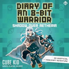 Diary of an 8-Bit Warrior: Shadow Over Aetheria - Kid, Cube