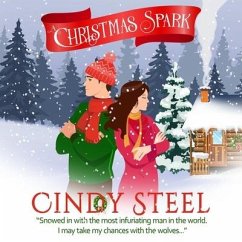 A Christmas Spark - Steel, Cindy