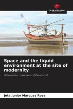 Space and the liquid environment at the site of modernity - Rosa, Jota Junior Marques