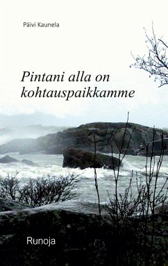 Cover Pintani alla on kohtauspaikkamme
