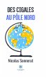 Des cigales au pôle nord (eBook, ePUB) - Bild 1