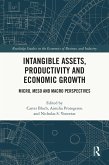 Intangible Assets, Productivity and Economic Growth (eBook, PDF)