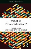 What is Financialization? (eBook, PDF)