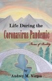 Life During the Coronavirus Pandemic (eBook, ePUB)