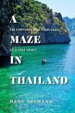 A Maze in Thailand (eBook, ePUB)